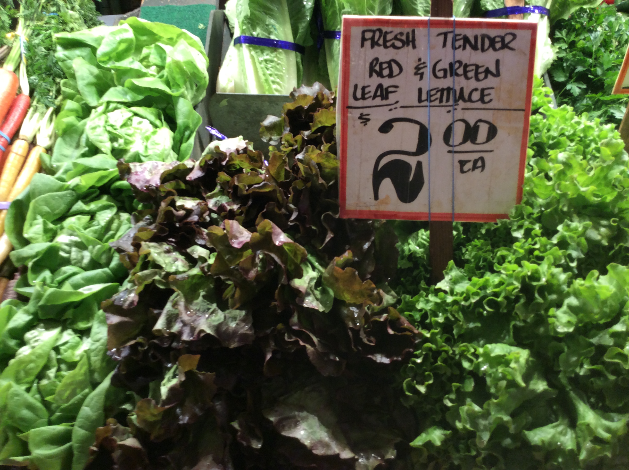 DANDELION SALAD