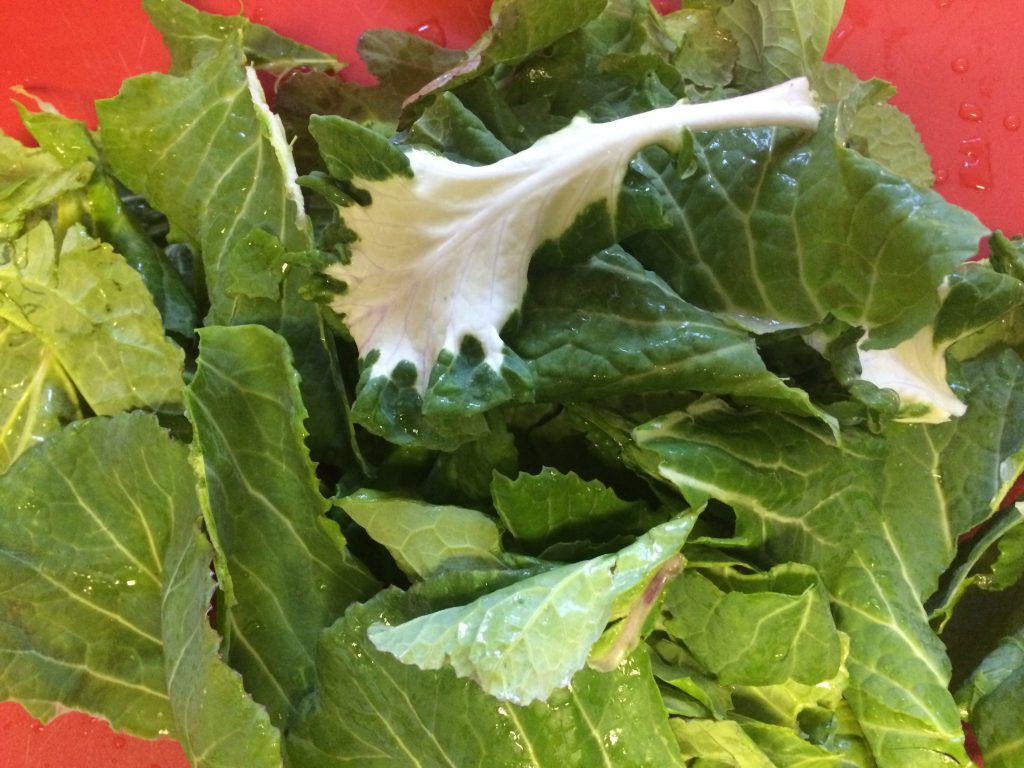 MIXED GREENS SALAD
